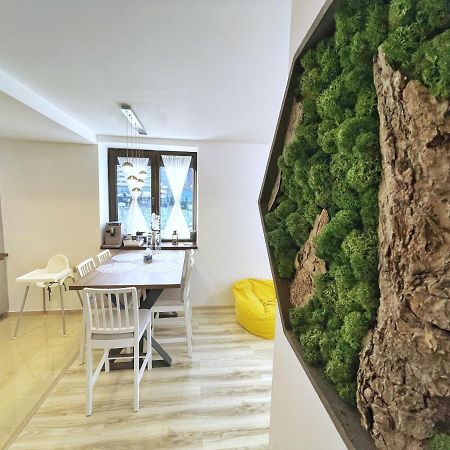 Perfect View Apartment シナヤ エクステリア 写真