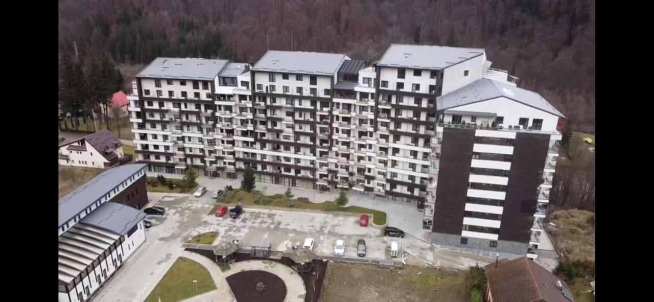 Perfect View Apartment シナヤ エクステリア 写真