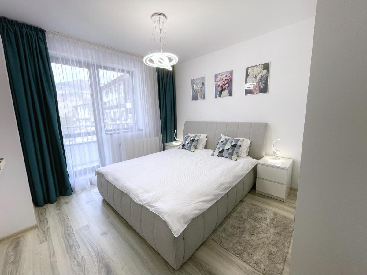Perfect View Apartment シナヤ エクステリア 写真