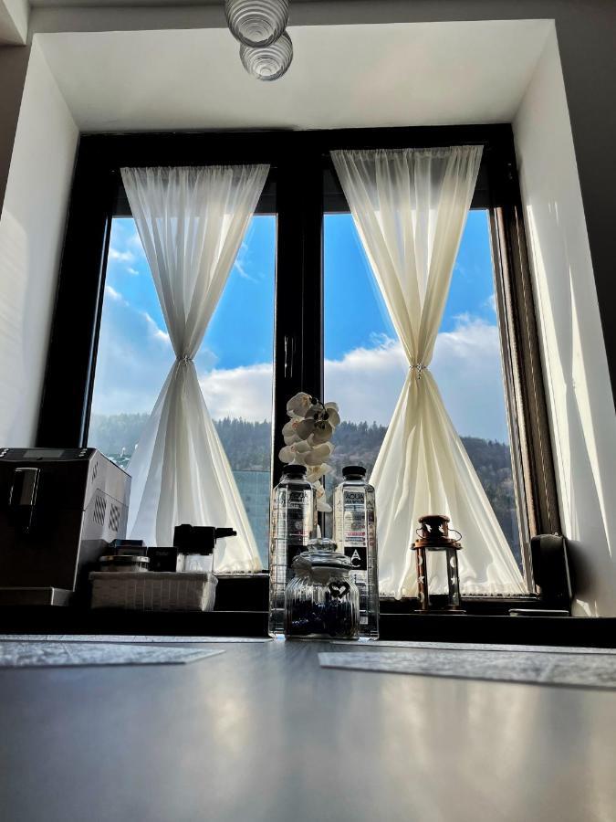 Perfect View Apartment シナヤ エクステリア 写真