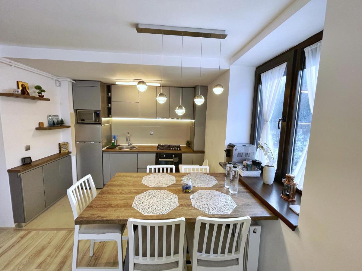Perfect View Apartment シナヤ エクステリア 写真